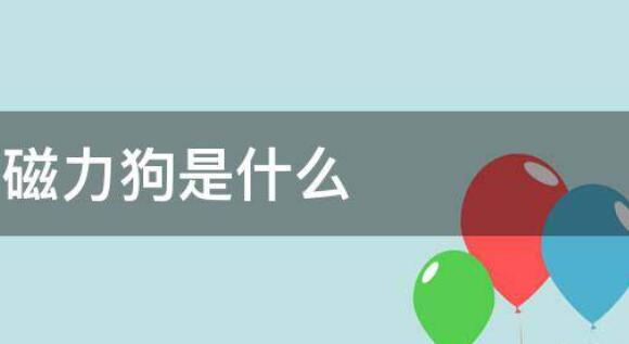 解锁搜索新境界磁力狗：你的专属资源追踪神器